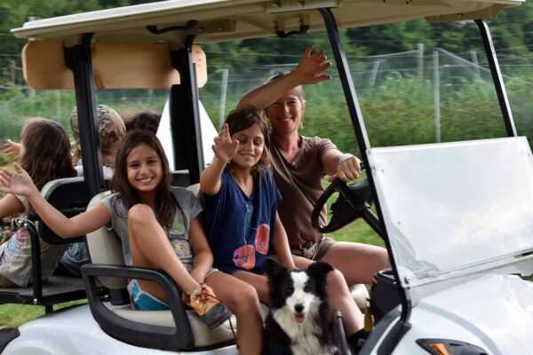 Golf-cart
