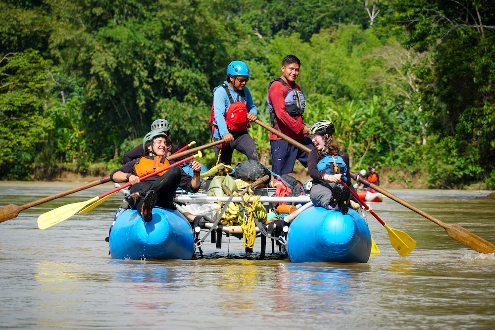 Into the Jungle and Home Again